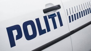 politibil